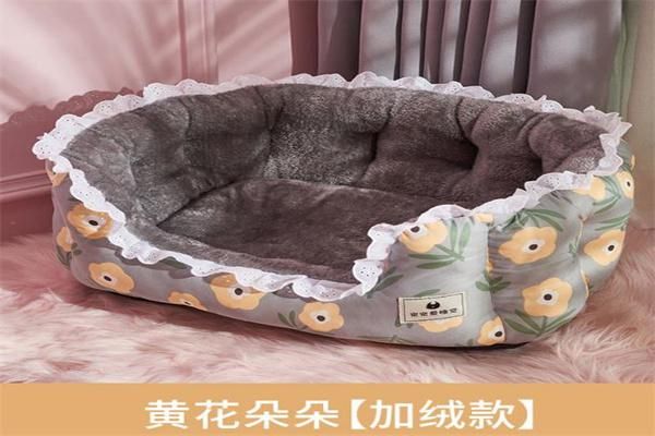 朵朵宠物用品