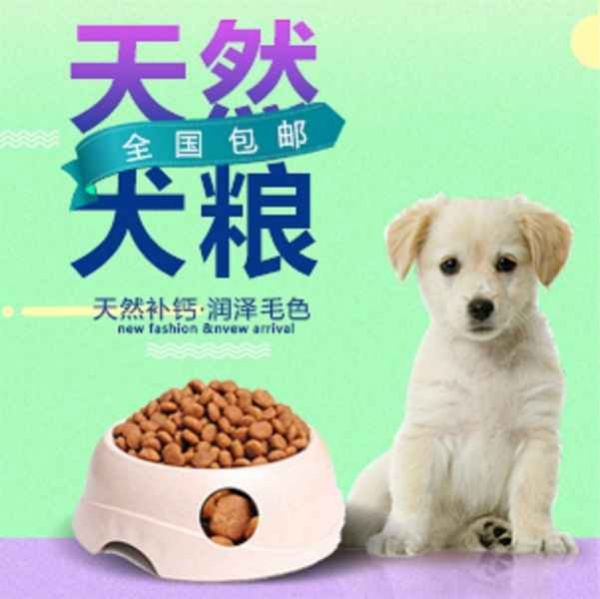 狗粮代理价格