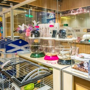 宠物用品外卖店