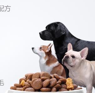 赛级宠物用品