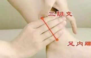 宠物肠胃炎,早发现早治疗!