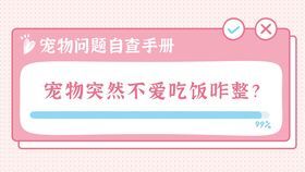 宠物肠胃炎自查指南