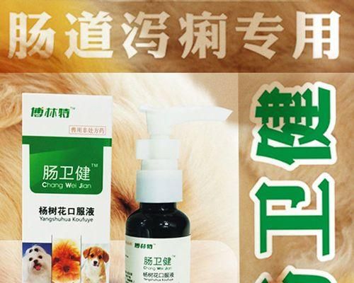 泰迪肠胃炎的症状与治疗（宠物泰迪患上肠胃炎的表现及应对措施）