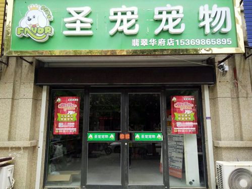 圣宠宠物衡水翡翠华府连锁店