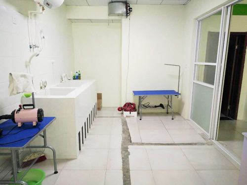 圣宠宠物衡水翡翠华府连锁店