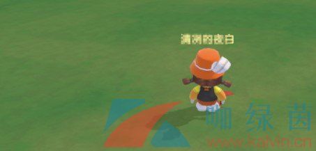 《摩尔庄园手游》精灵收藏大师任务完成攻略