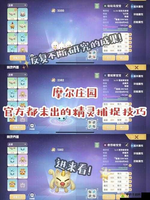 摩尔庄园手游宠物怎么养成，宠物养成方法攻略