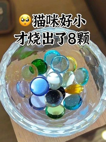 猫咪变成了晶石永远陪伴着我……