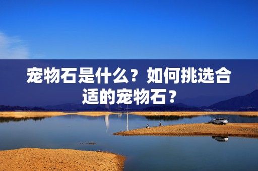 宠物石是什么？如何挑选合适的宠物石？-第1张图片