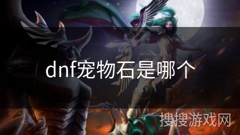 dnf宠物石是哪个