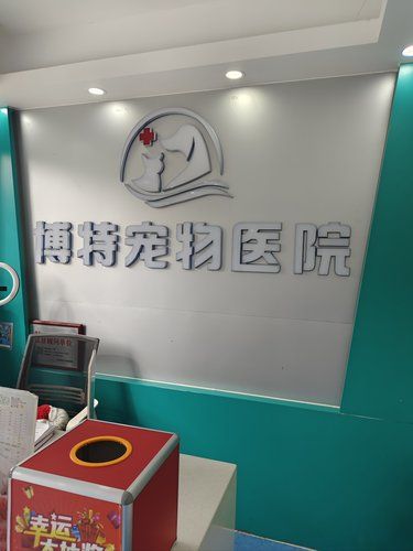 带着我家兔子体检的一天