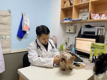 带着毛孩子体检的一天