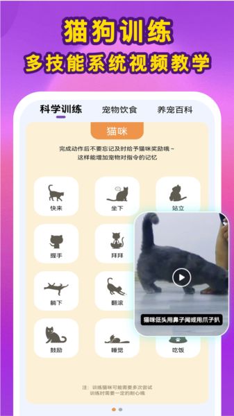 啵啵猫狗语音