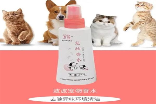波波宠物用品