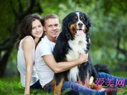 宠物男头：你需要知道的宠物男头文化？国内最受欢迎的宠物男头品种排行榜