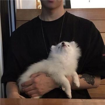 宠物头像男生