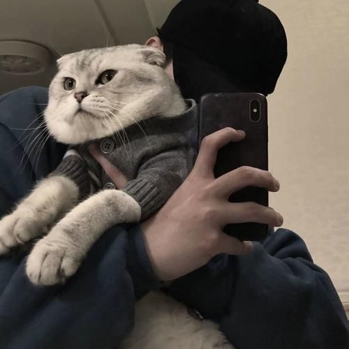 男生头像