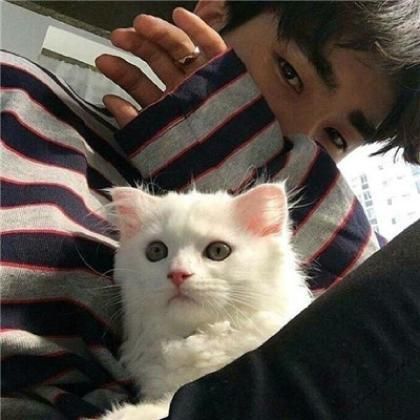 男生头像带宠物