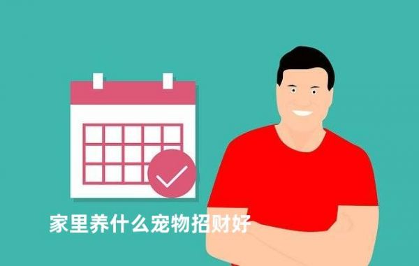 家里养什么宠物招财好