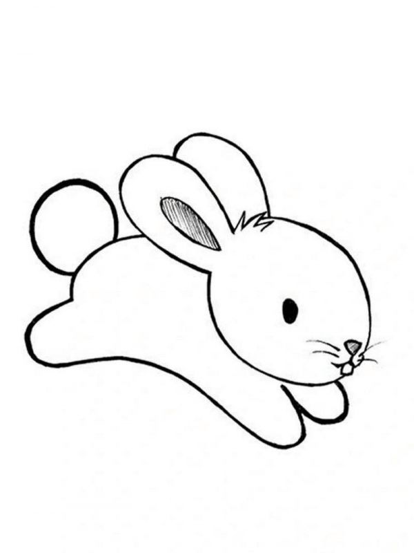幼儿简笔画动物图片大全