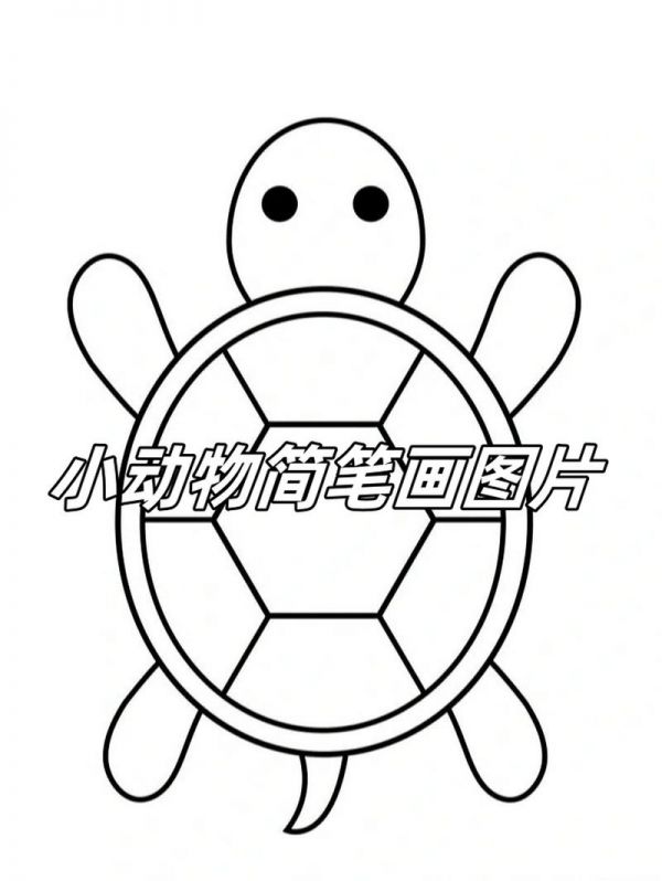 幼儿简笔画动物图片大全