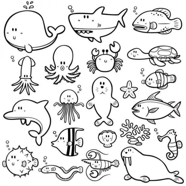 幼儿简笔画动物图片大全