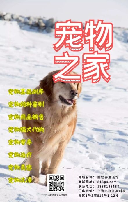 宠物猫咪狗狗动物萌宠可爱手绘海报