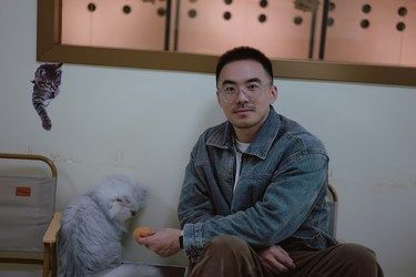 周末最爱的猫猫❗️园岭地铁站Ⓜ️直达[送星星]
