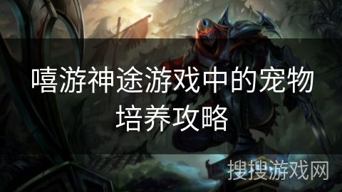 嘻游神途游戏中的宠物培养攻略