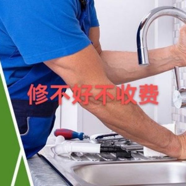 店主头像