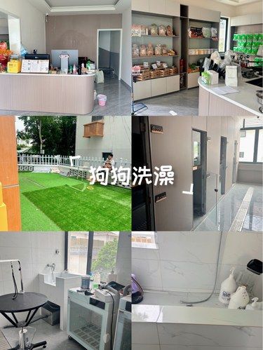 非常适合大狗的宠物店