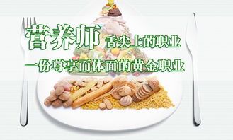 宠物营养糕喂法指南