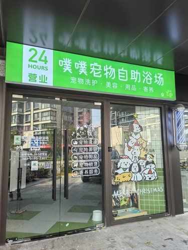 宠物美容专家来啦