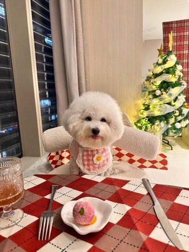 小狗餐厅