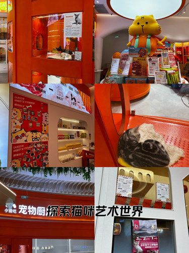 世界破破烂烂 小猫缝缝补补