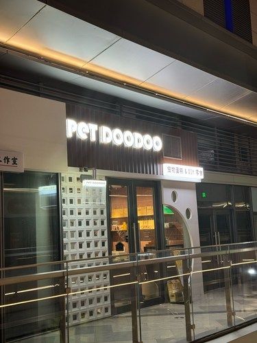 创意动物饼干趣