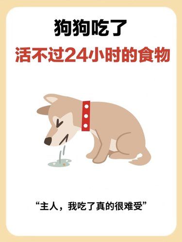 狗狗吃了活不过24小时❗️这些东西别再喂了！
