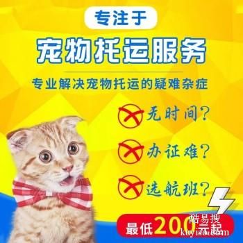 宁德宠物托运公司2023年可发全国各宠物专车直达