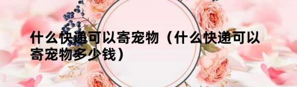 什么快递可以寄宠物（什么快递可以寄宠物多少钱）