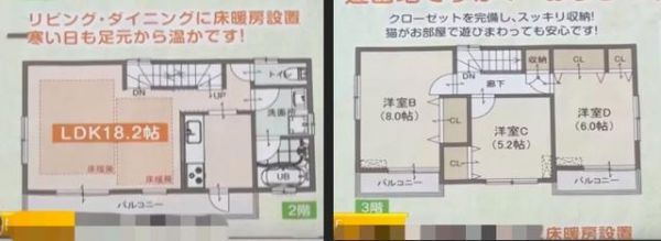 听说去东京租房，可以配送只猫！不过要搬家话，猫可不能跟你走哟