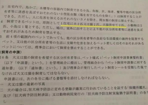 听说去东京租房，可以配送只猫！不过要搬家话，猫可不能跟你走哟