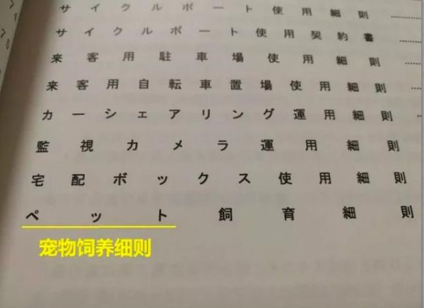听说去东京租房，可以配送只猫！不过要搬家话，猫可不能跟你走哟