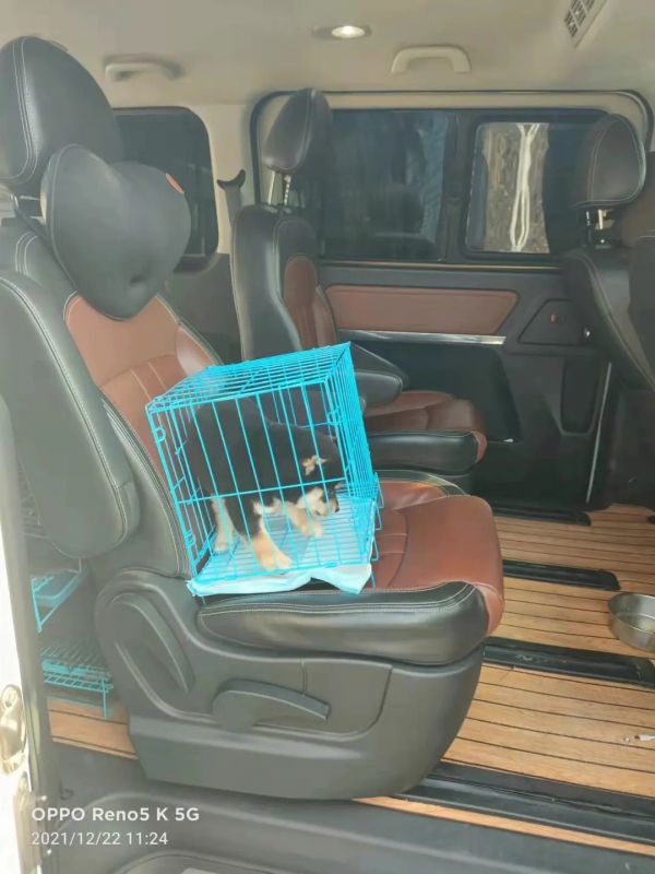 济南 寄托运 专车 专车托运