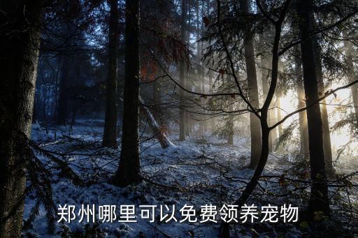郑州哪里可以免费领养宠物