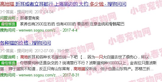 银白高地猫一般多少钱一只