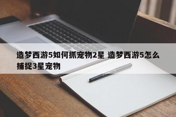 造梦西游5如何抓宠物2星 造梦西游5怎么捕捉3星宠物 第1张