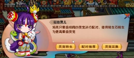 造梦西游5宠物怎么升星?