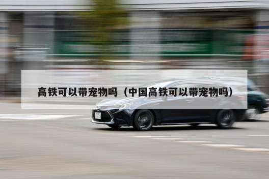 高铁可以带宠物吗（中国高铁可以带宠物吗）