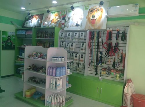 圣宠宠物沧州河间宠物店