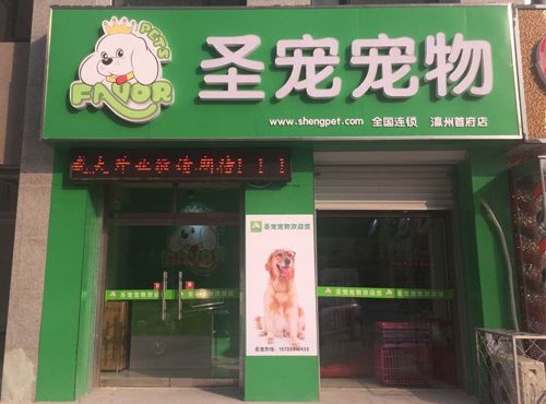 圣宠宠物沧州河间宠物店